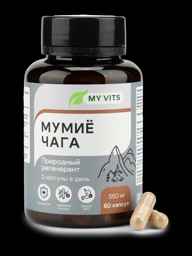 Мумиё Чага "Природный регенерант" MY VITS, 1 упаковка 60 капсул
