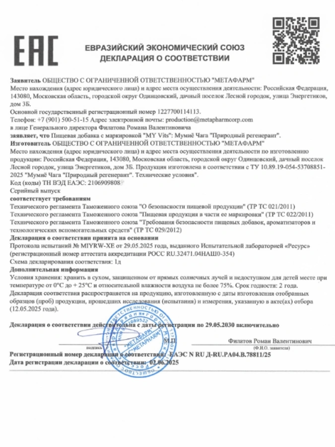 Мумиё Чага "Природный регенерант" MY VITS, 1 упаковка 60 капсул