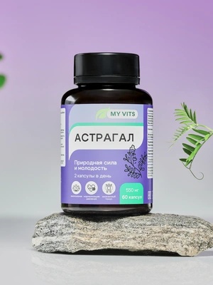 Астрагал "Природная сила и молодость" MY VITS, 1 упаковка 60 капсул