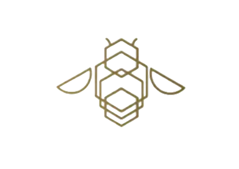 Азбука пчелы