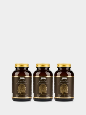 Ежовик  1+1=3 MY VITS