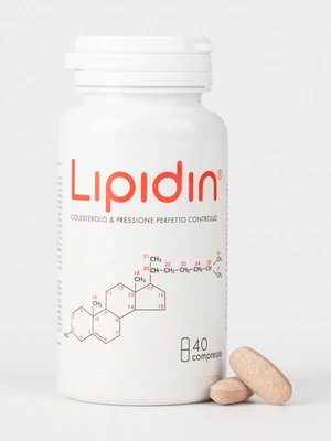 Липидин для контроля давления и холестерина, 40 таблеток