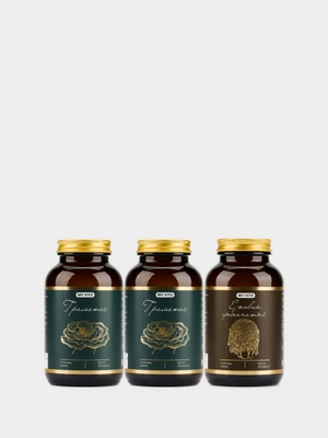 Траметес 2 упаковки + Ежовик в подарок