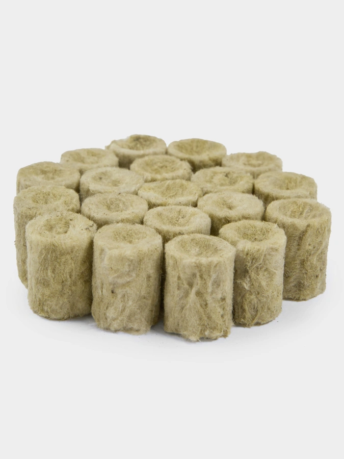 Набор семян "Плантация" + в подарок фито лампа и пробки для проращивания