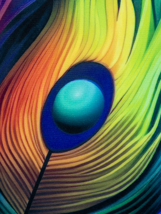 Подушка Жар-птица