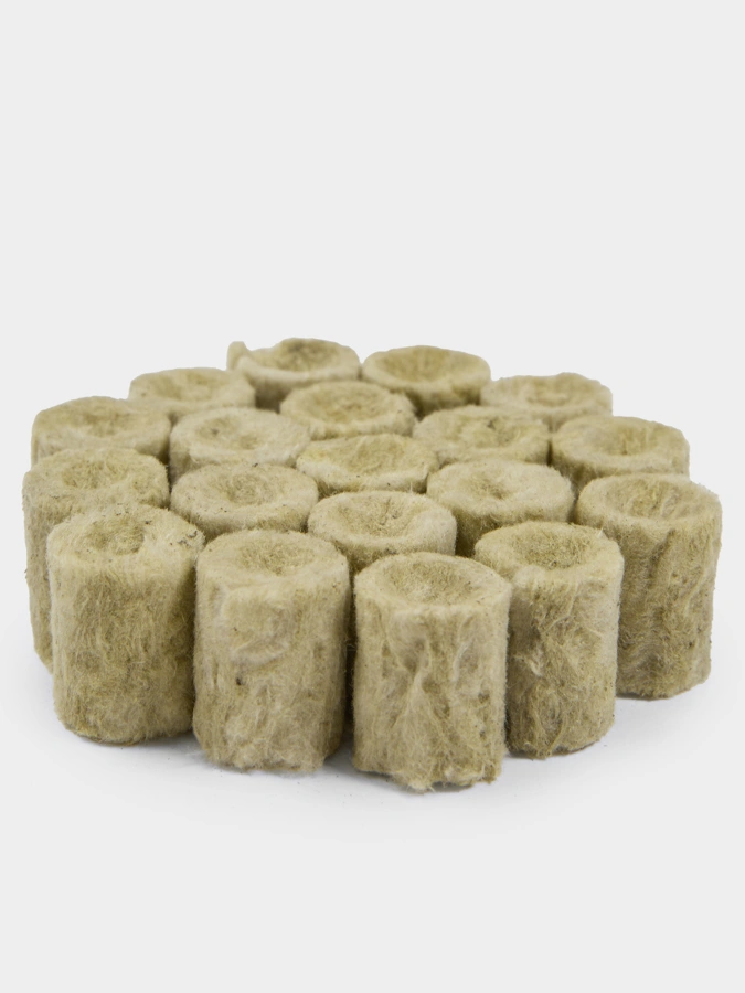 Набор семян Плантация + в подарок фито лампа и пробки для проращивания