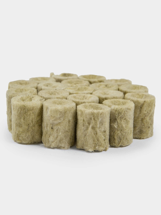 Набор семян Плантация + в подарок фито лампа и пробки для проращивания