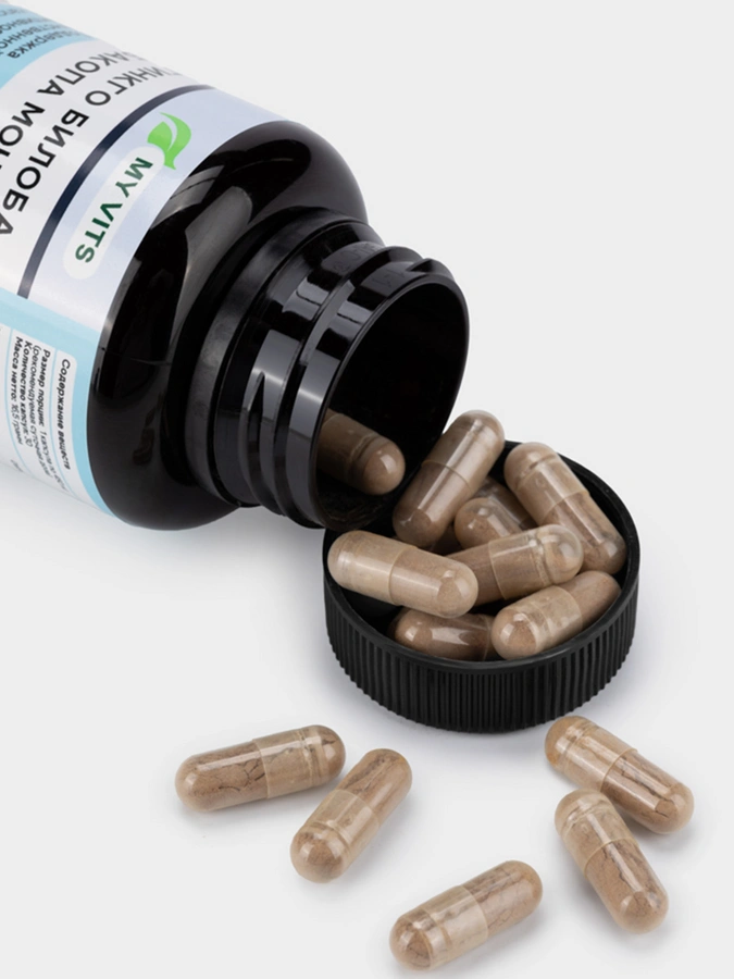 Гинкго Билоба и Бакопа Монье MY VITS, 1 упаковка