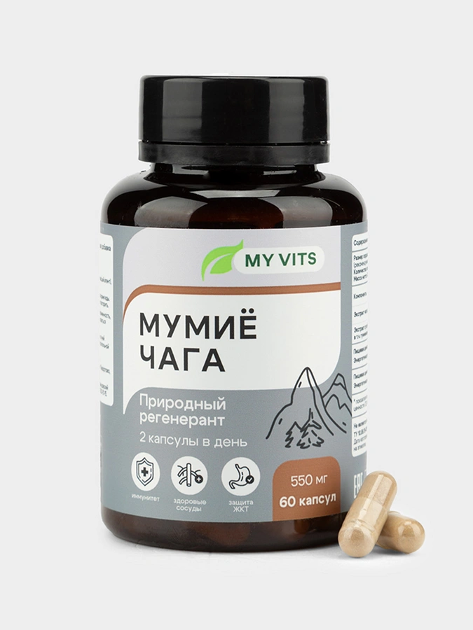 Мумиё Чага "Природный регенерант" MY VITS, 1 упаковка