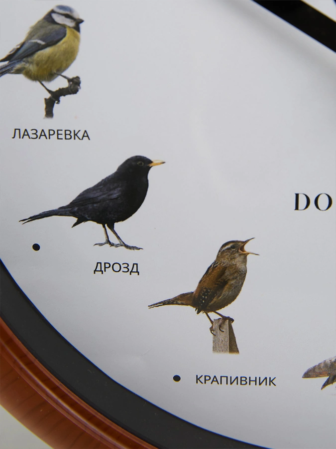 Часы с пением птиц Мелодия леса