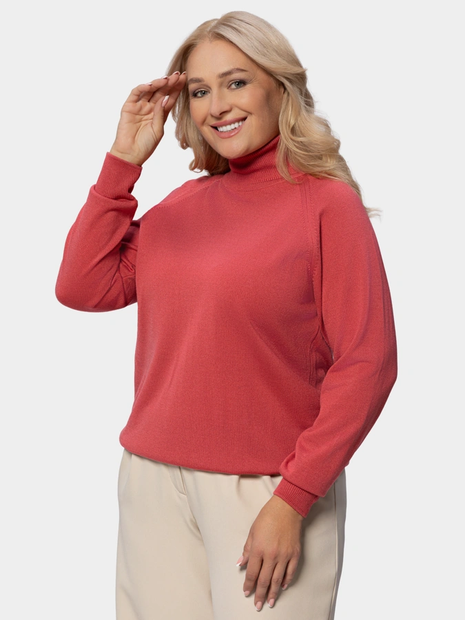 Водолазка Влада