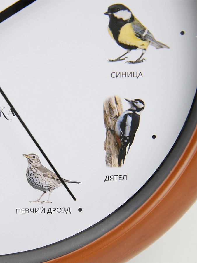 Часы с пением птиц Мелодия леса