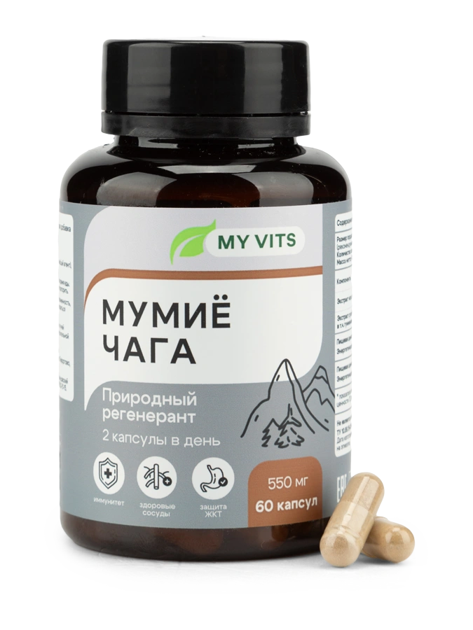 Мумиё Чага "Природный регенерант" MY VITS, 1 упаковка 60 капсул