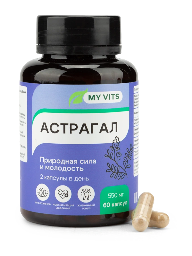 Астрагал "Природная сила и молодость" MY VITS, 1 упаковка 60 капсул
