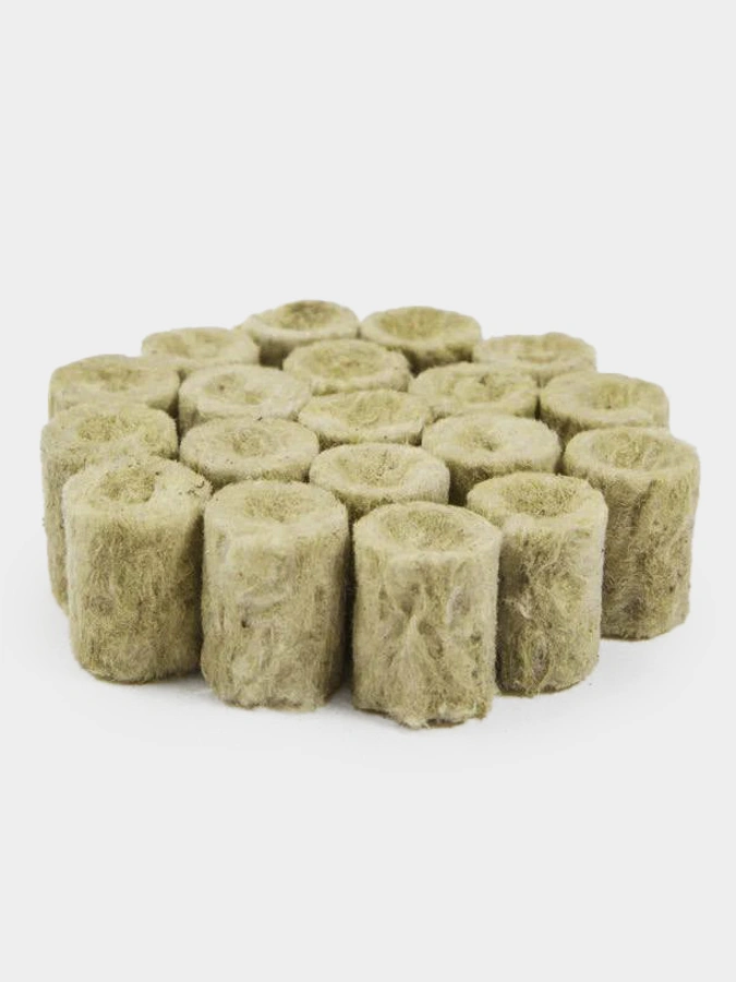 Набор семян Плантация + в подарок фито лампа и пробки для проращивания