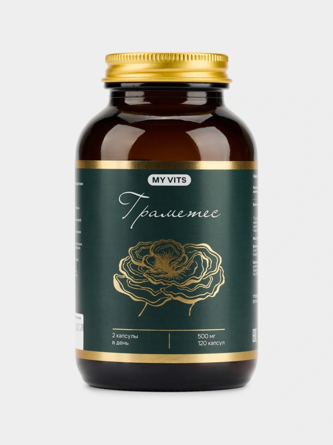 Траметес 2 упаковки по цене 1