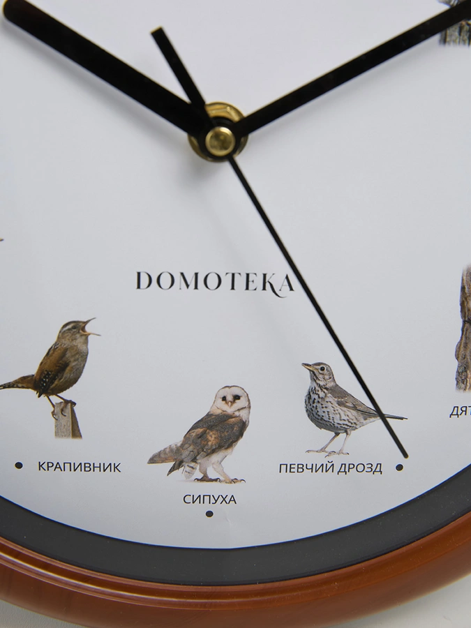 Часы с пением птиц Мелодия леса