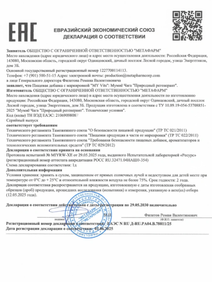 Мумиё Чага "Природный регенерант" MY VITS, 1 упаковка 60 капсул