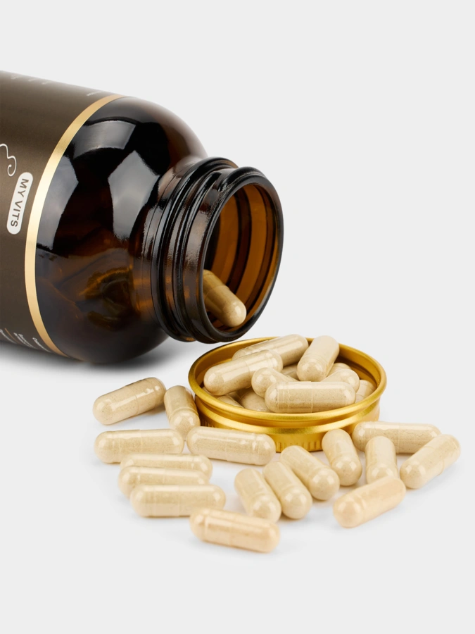 Траметес 2 упаковки + Ежовик в подарок