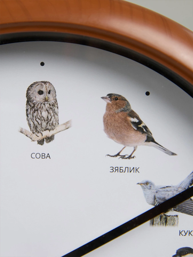 Часы с пением птиц Мелодия леса