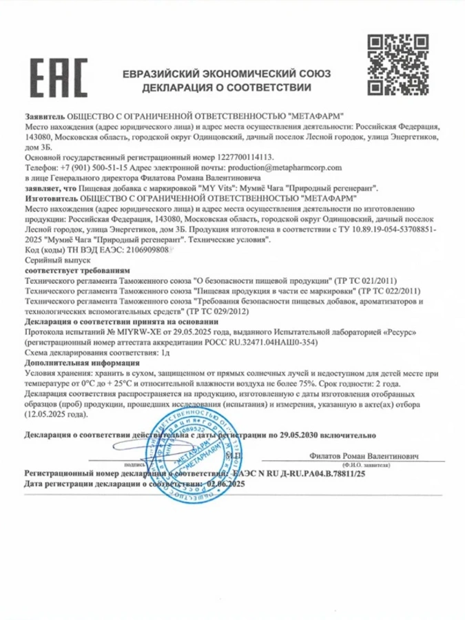 Мумиё Чага "Природный регенерант" MY VITS, 2 упаковки