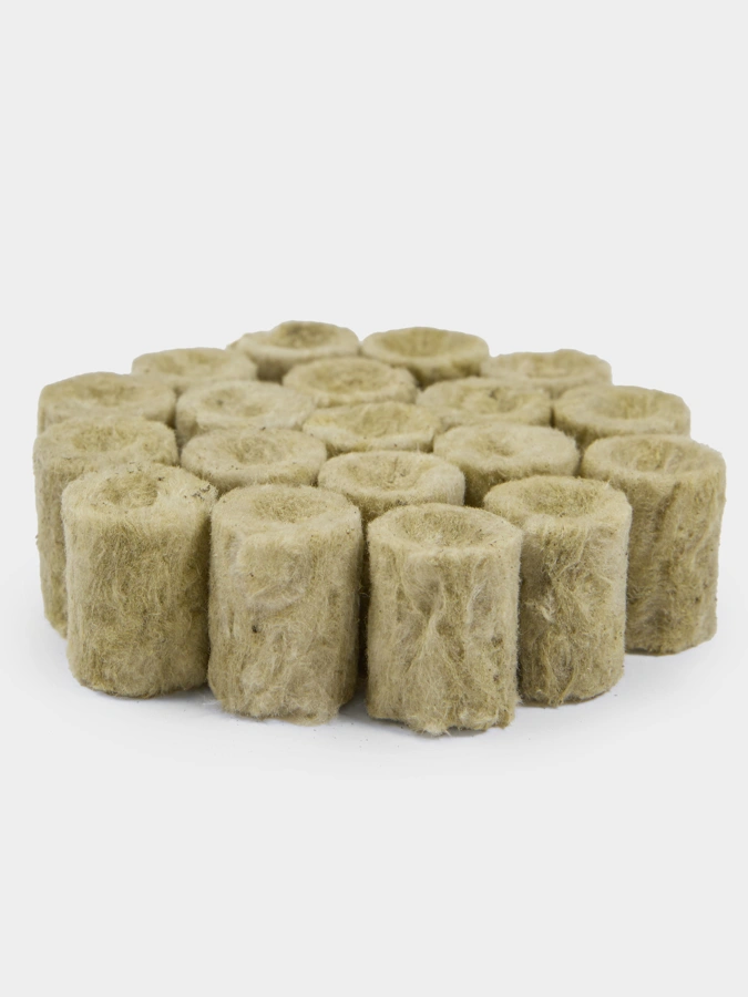 Набор семян Плантация + в подарок фито лампа и пробки для проращивания