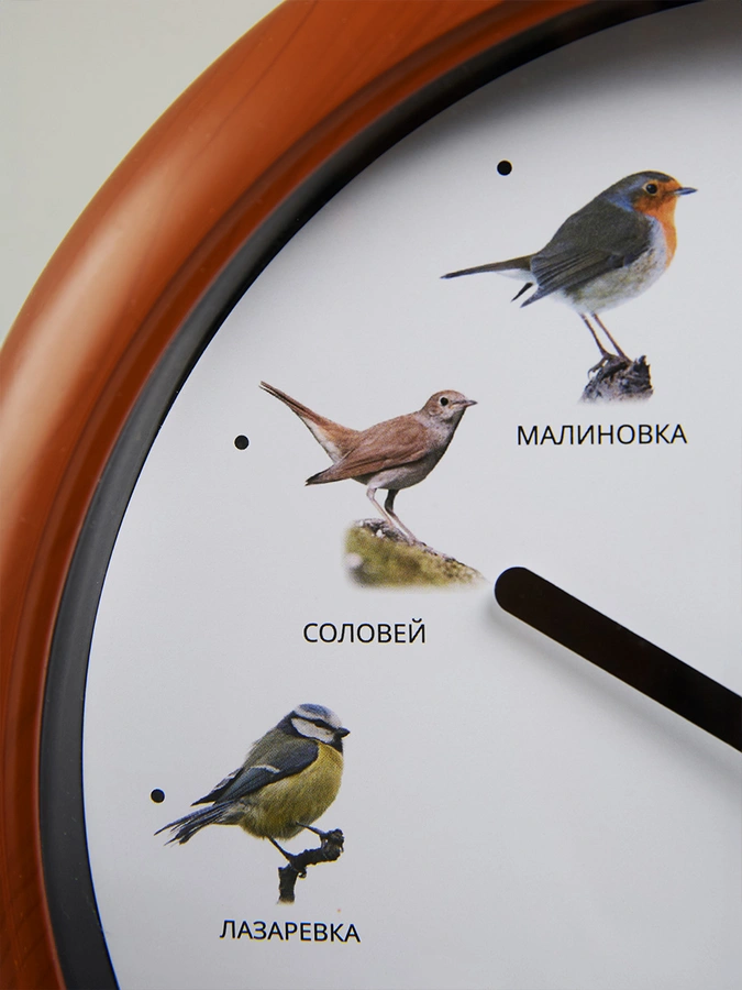 Часы с пением птиц Мелодия леса