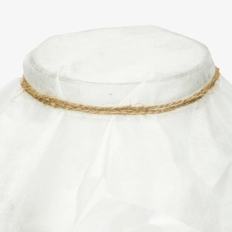 Чайный гриб + банка с дозатором в подарок