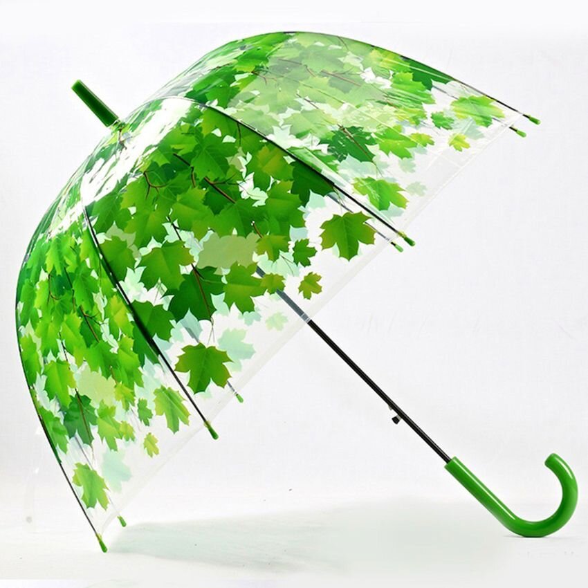 Зонт листья