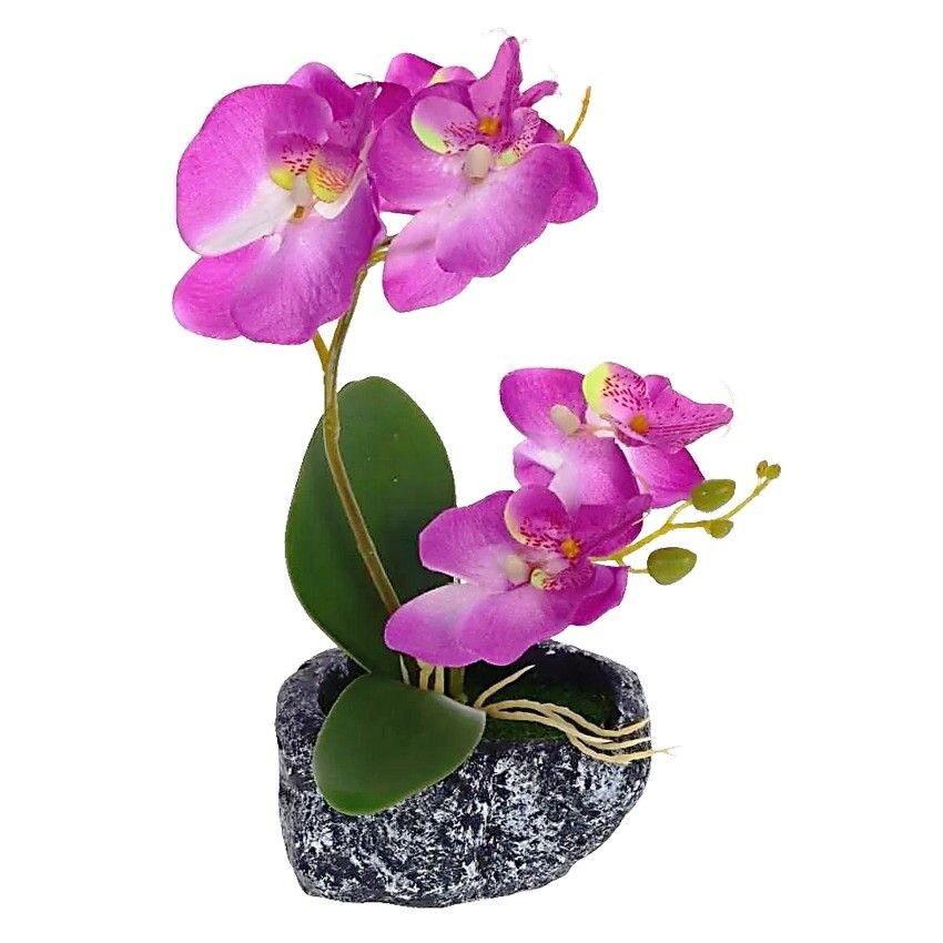 

Цветочная комп. "Орхидея"