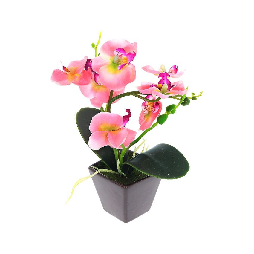 Орхидеи уценка. Цветочная композиция «орхидеи».