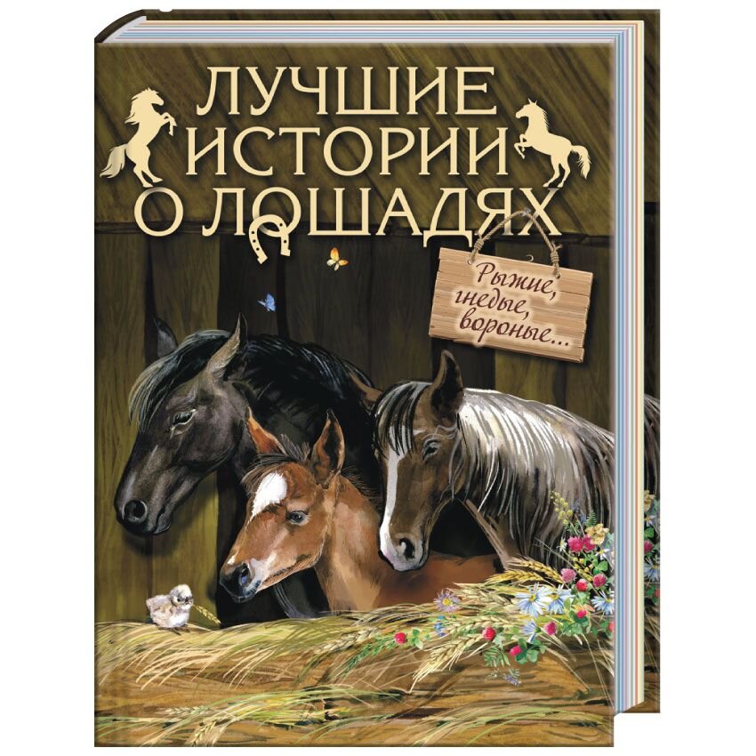 Лучшие истории о лошадях