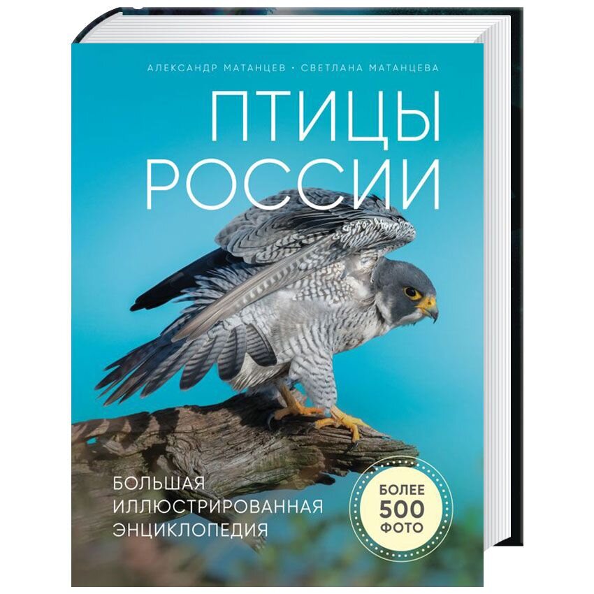 

Птицы России. Большая иллюстрированная энциклопедия