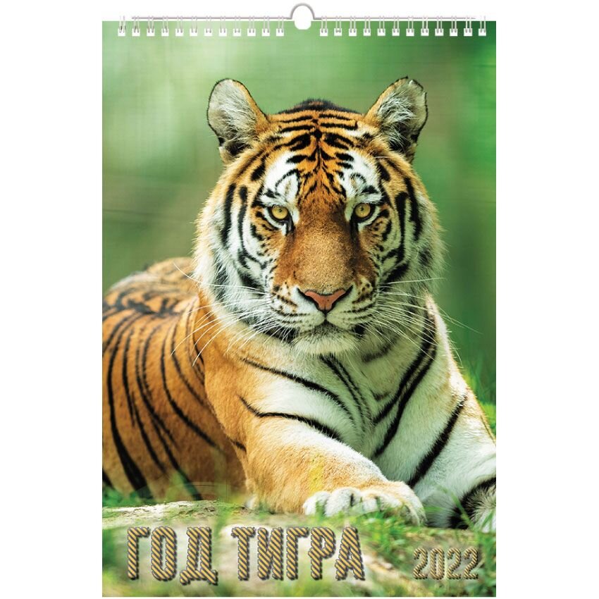 Перекидной календарь «Год тигра» на 2022 год