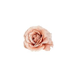 Декор «Розы в инее»