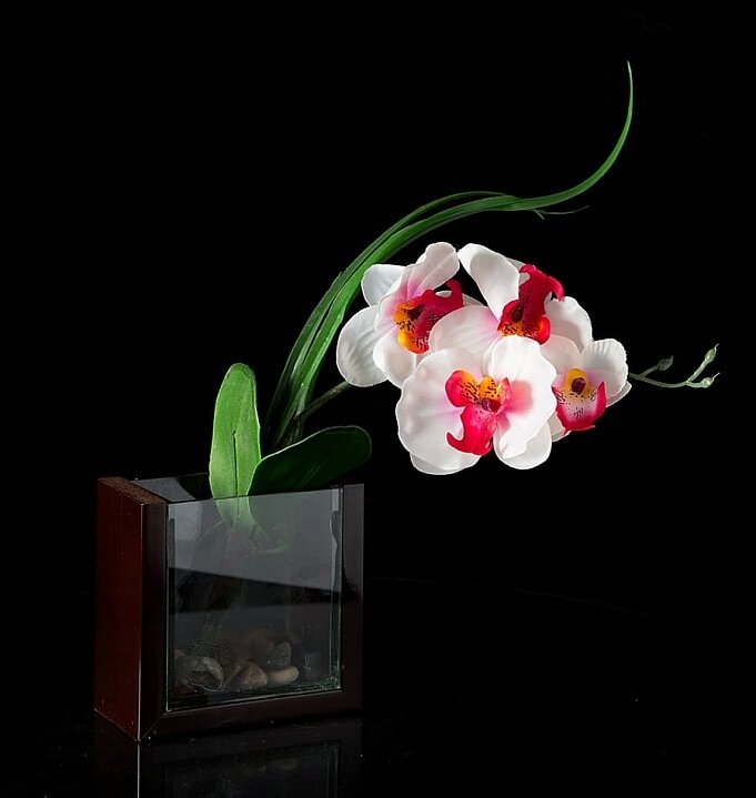 Композиция цветочная «Орхидея»