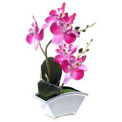 Цветочная композиция «Изящная орхидея»